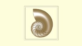 Nautilus Asset Management Nautilus Asset Management