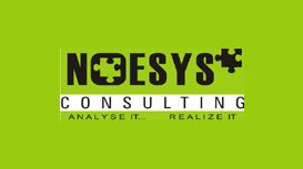 Noesys Consulting