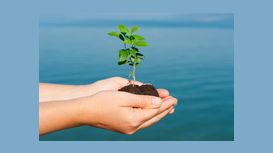 Stephenson Smart Financial Services Stephenson Smart Financial Services